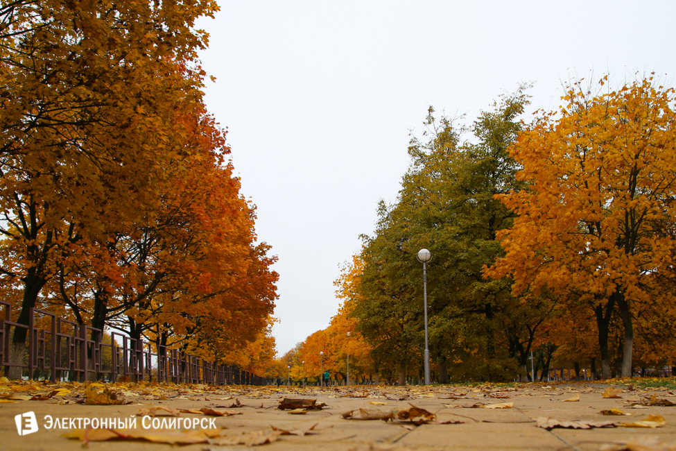 осень в Солигорске