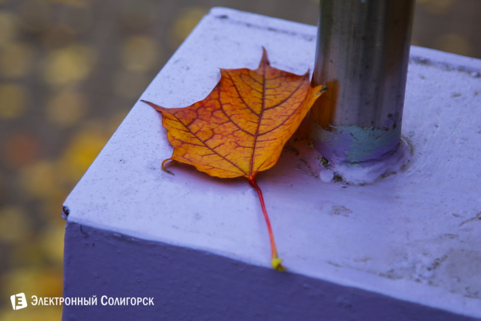 осень в солигорске