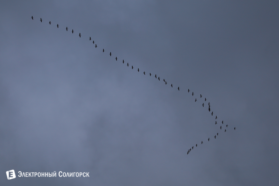 осень в солигорске