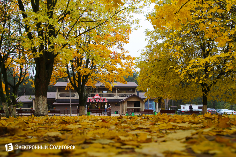 осень в солигорске