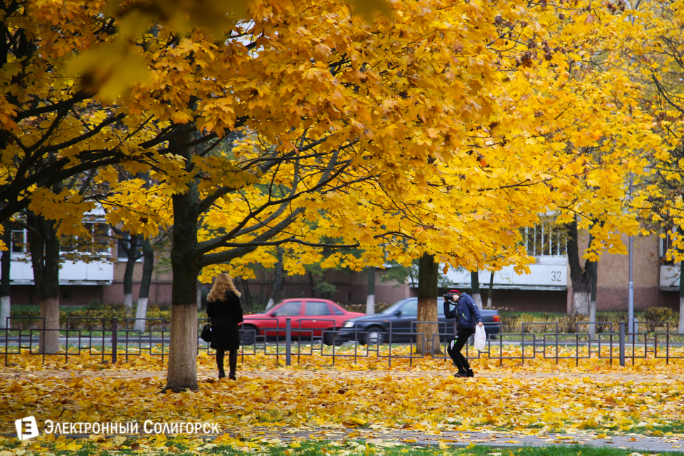осень в солигорске