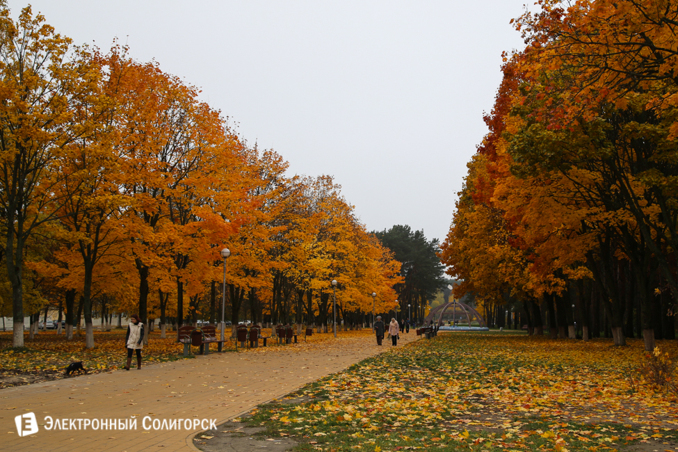 осень в солигорске