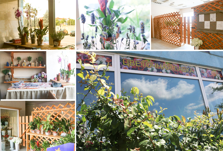 купить цветы солигорск ночью