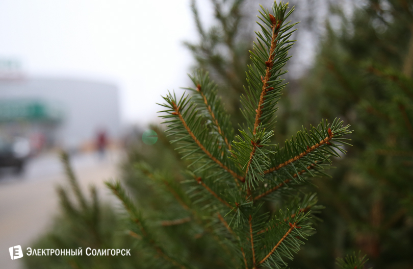 елочный базар Солигорск
