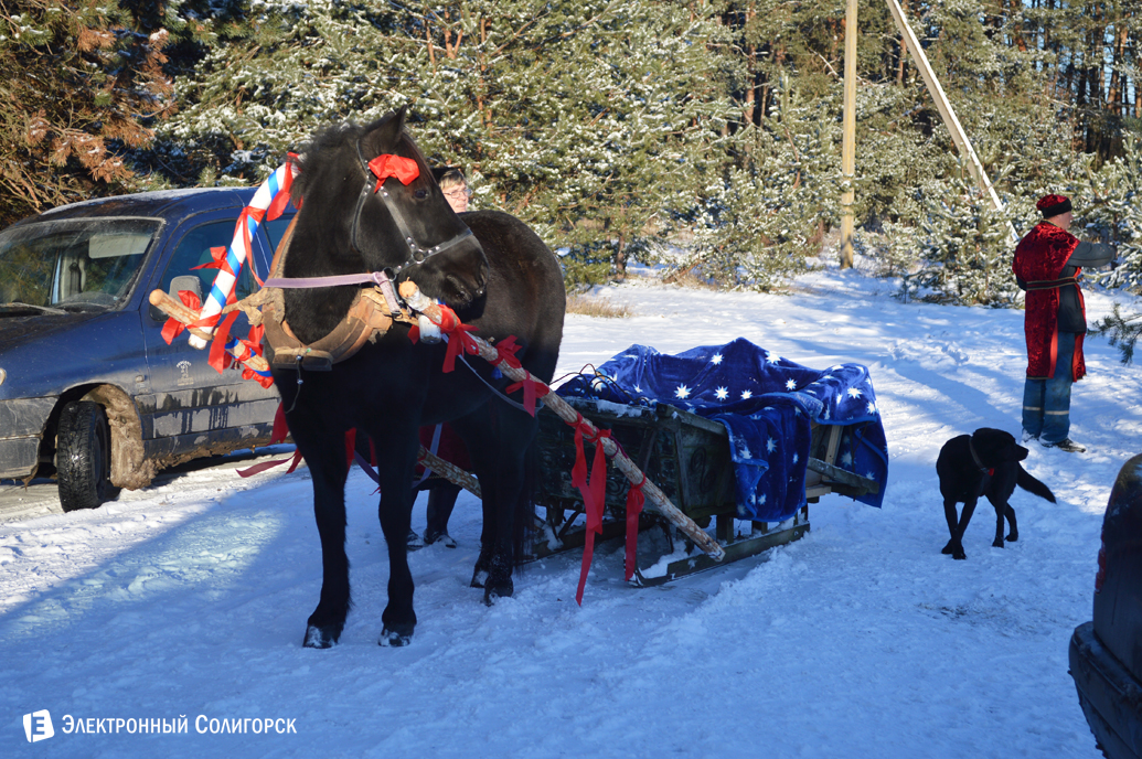агроусадьба Малиновка Новый год