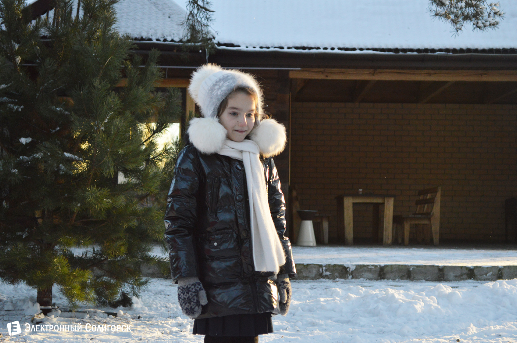 агроусадьба Малиновка Новый год