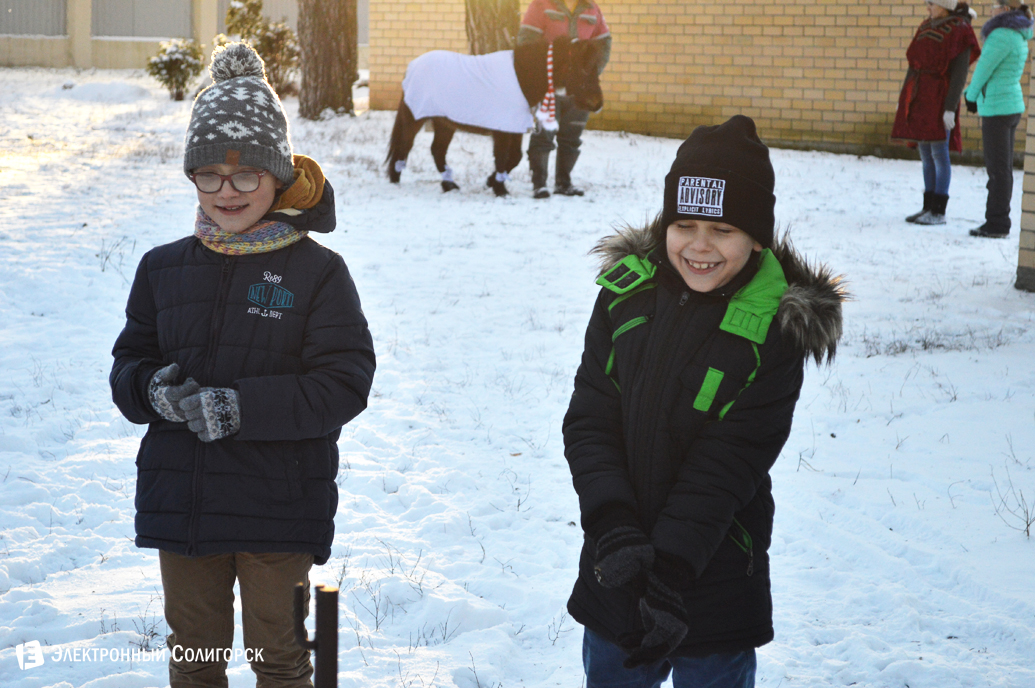 агроусадьба Малиновка Новый год