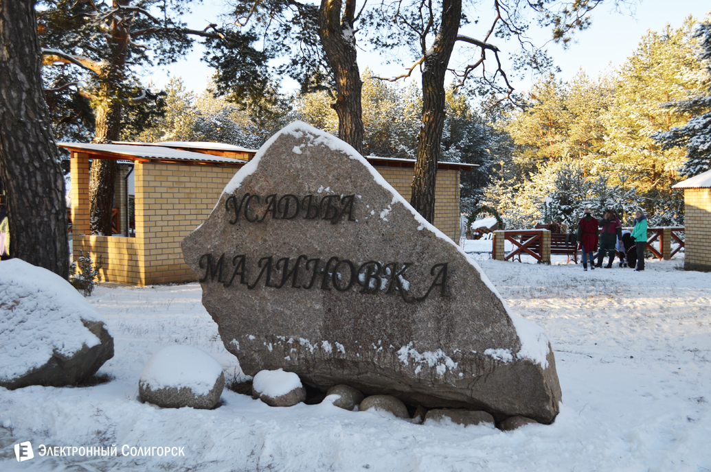 агроусадьба Малиновка Новый год