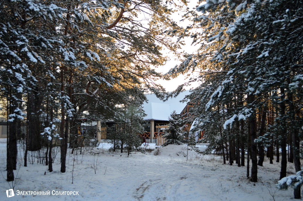 агроусадьба Малиновка Новый год