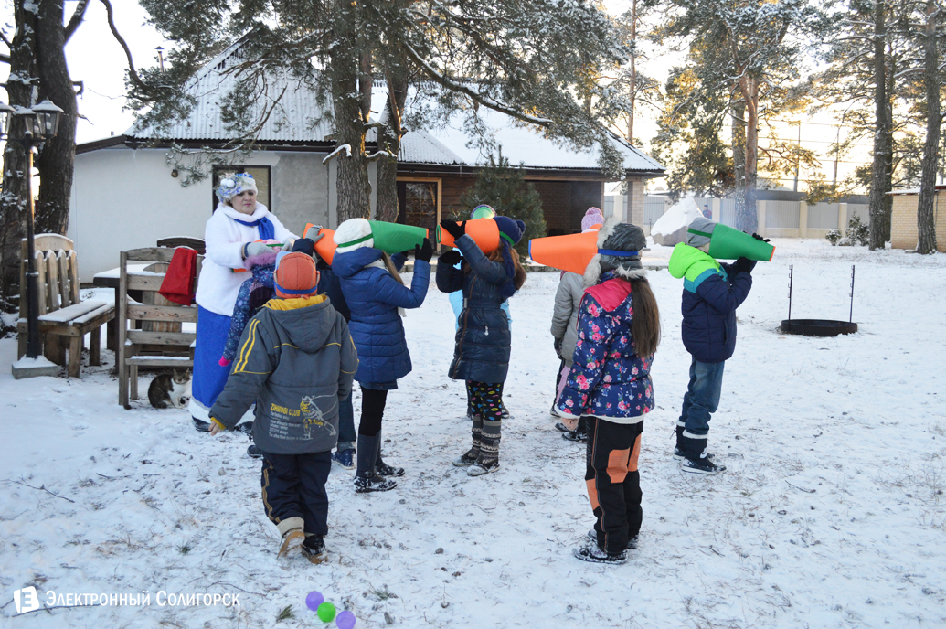 агроусадьба Малиновка Новый год