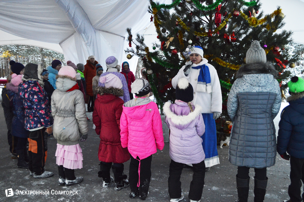агроусадьба Малиновка Новый год