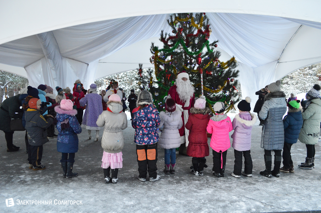агроусадьба Малиновка Новый год