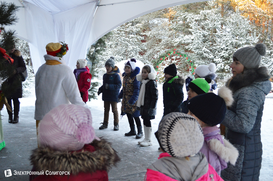 агроусадьба Малиновка Новый год