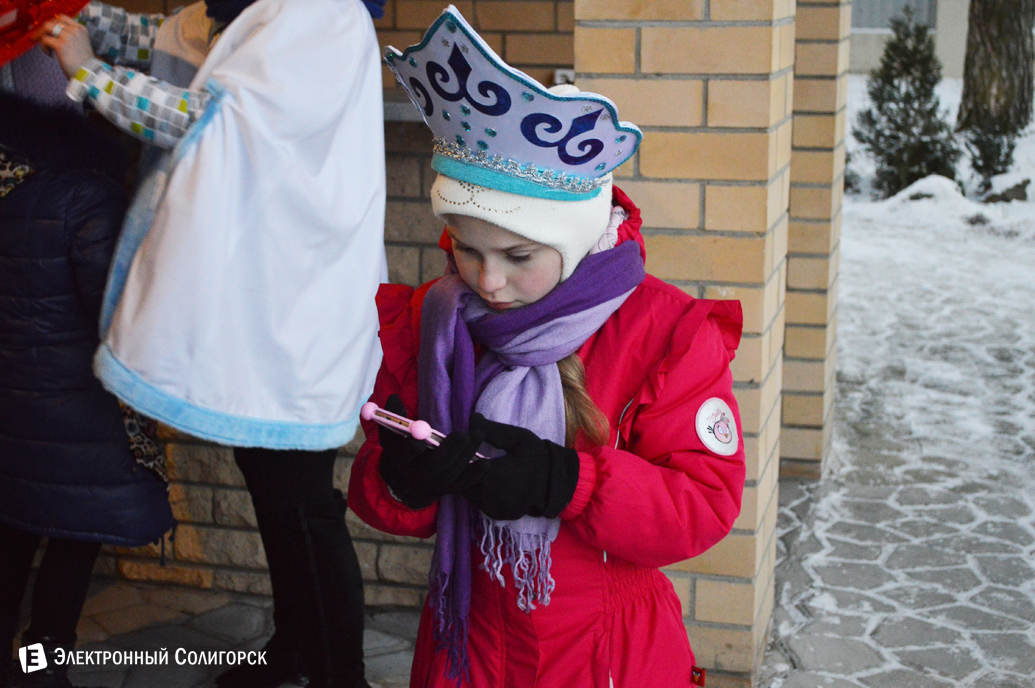 агроусадьба Малиновка Новый год
