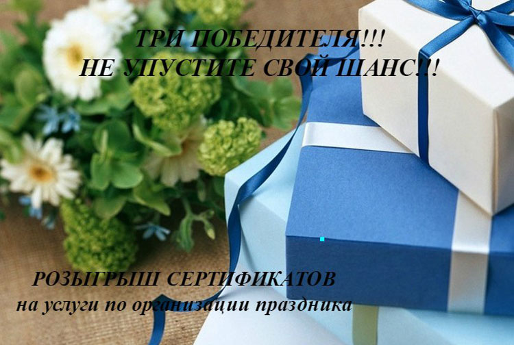 организатор свадьбы солигорск