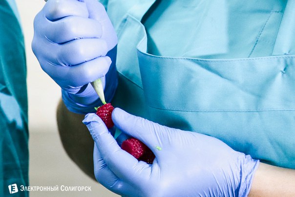 где купить торт солигорск