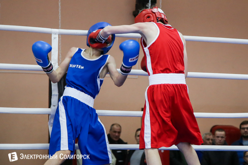 боксеры Солигорск