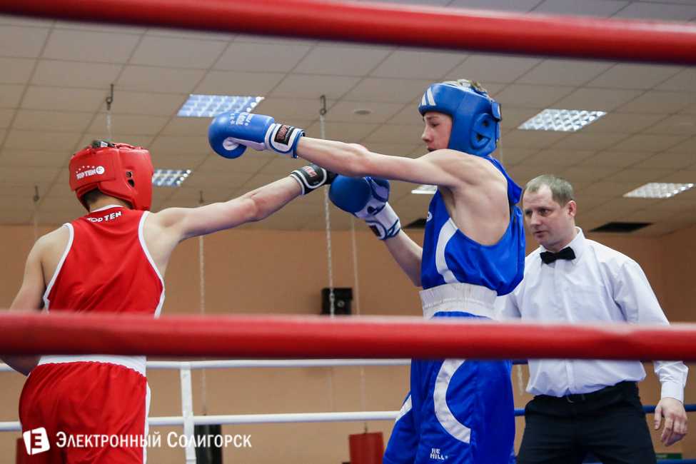 боксеры Солигорск