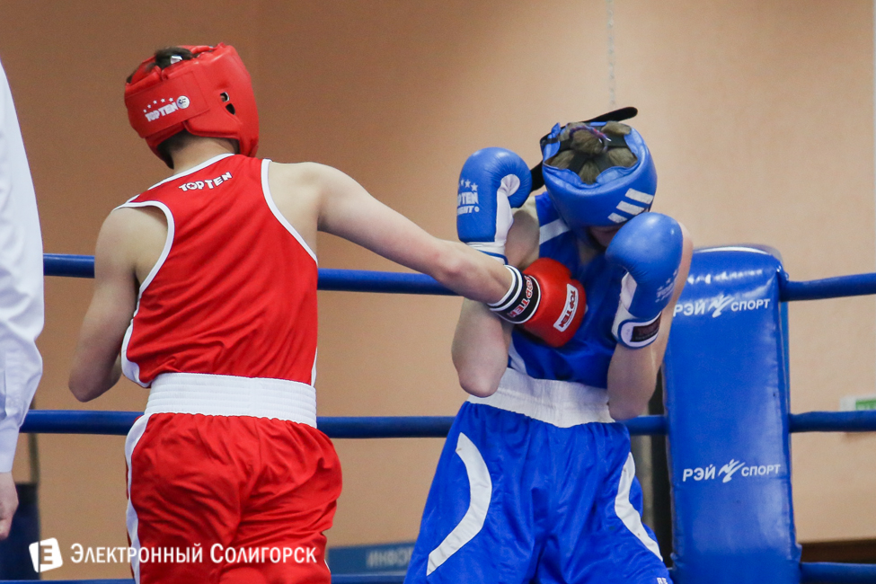 боксеры Солигорск