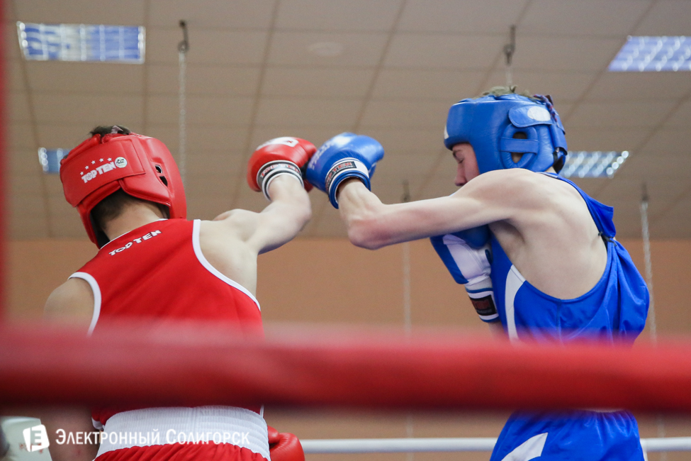 боксеры Солигорск