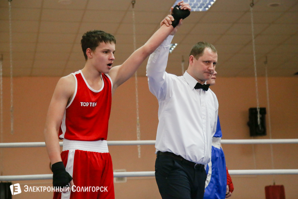 боксеры Солигорск