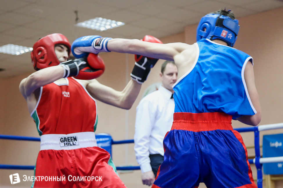 боксеры Солигорск