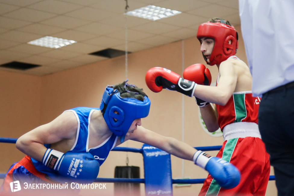 боксеры Солигорск