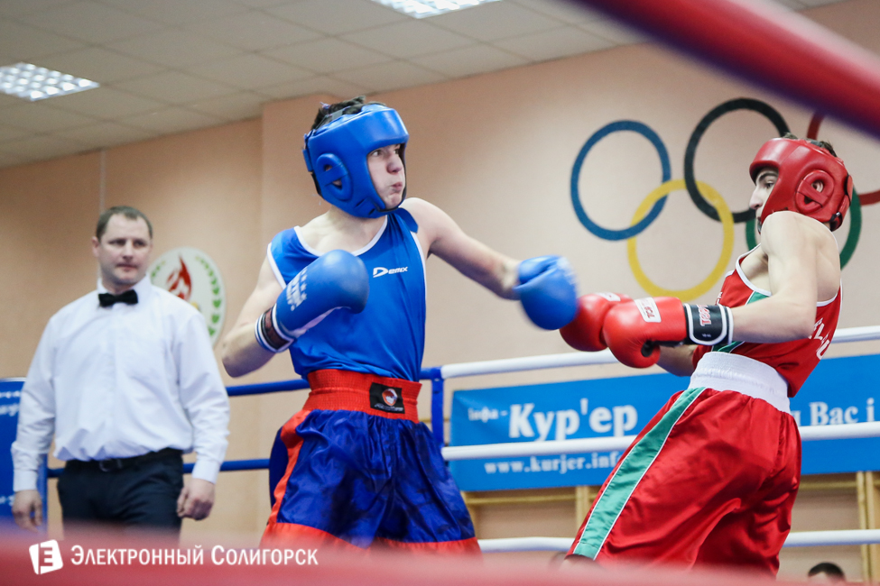 боксеры Солигорск