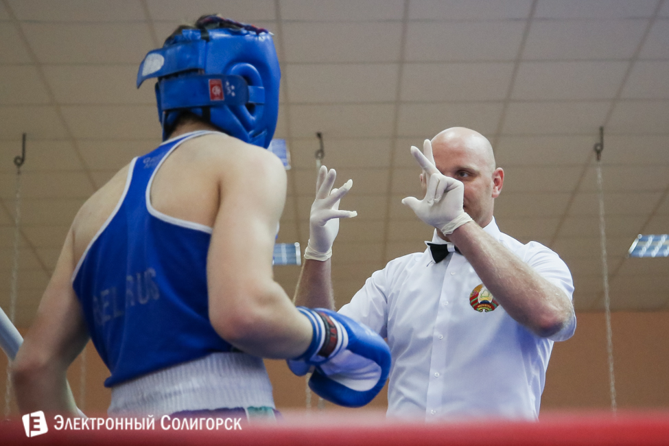 боксеры Солигорск