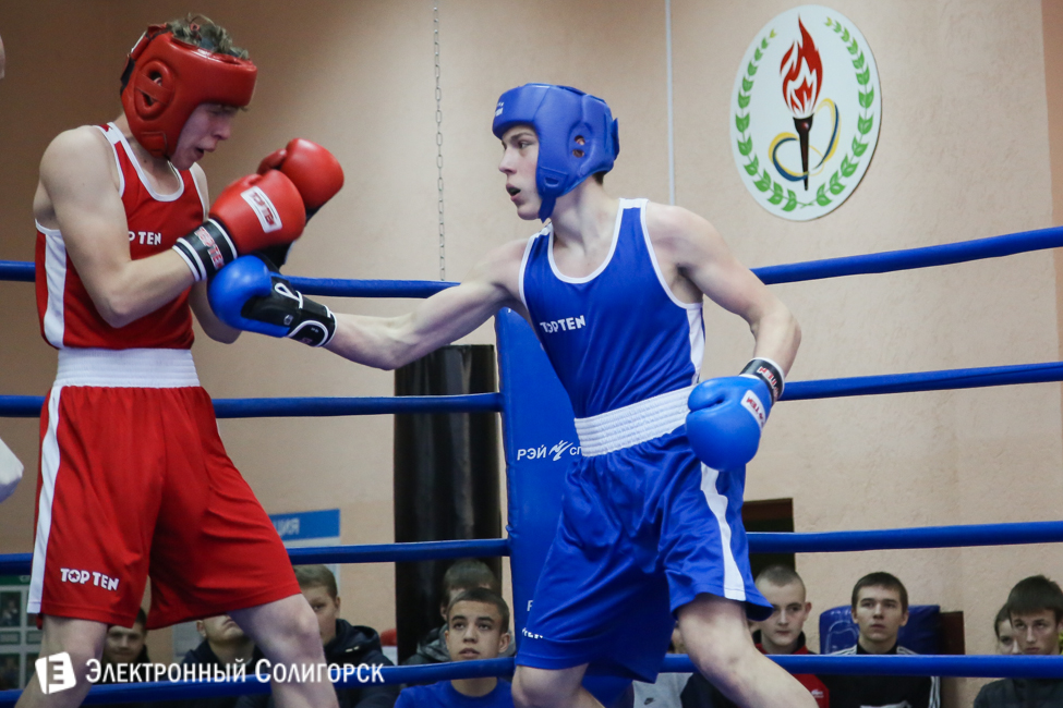боксеры Солигорск