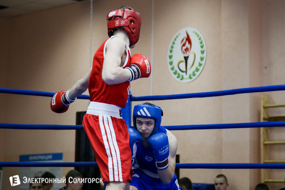боксеры Солигорск