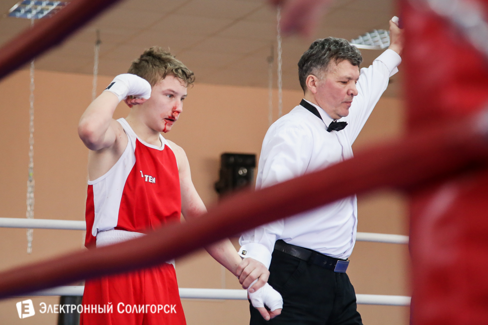 боксеры Солигорск