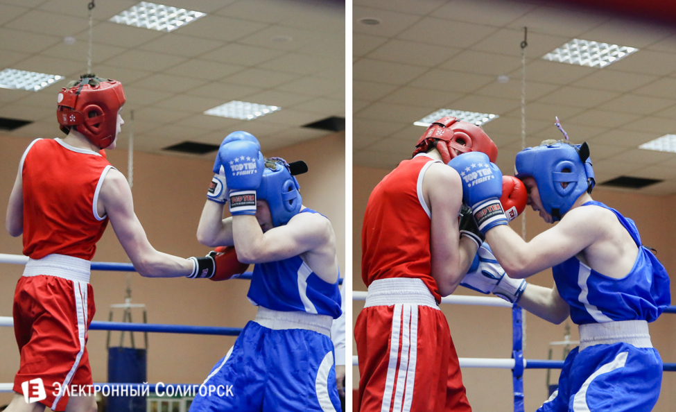 боксеры Солигорск