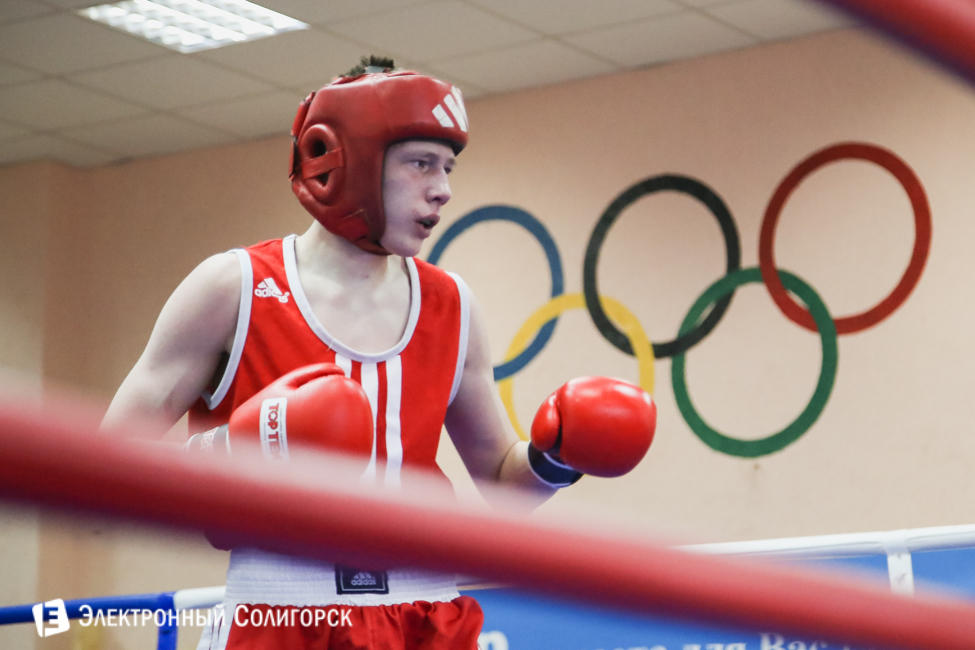 боксеры Солигорск