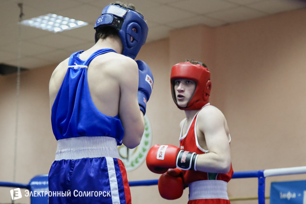 боксеры Солигорск