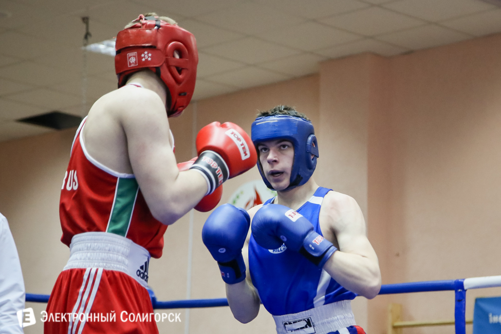 боксеры Солигорск