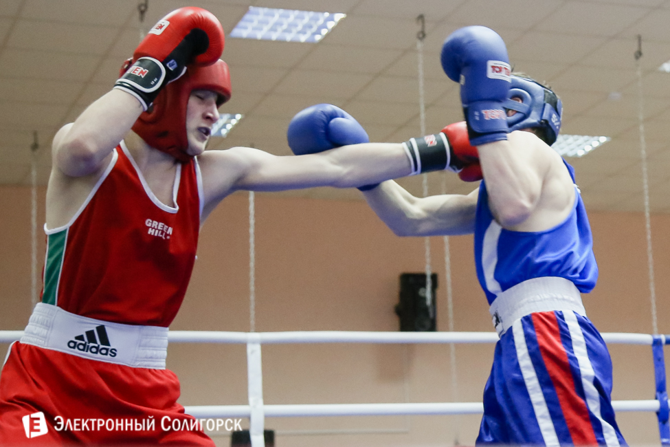 боксеры Солигорск