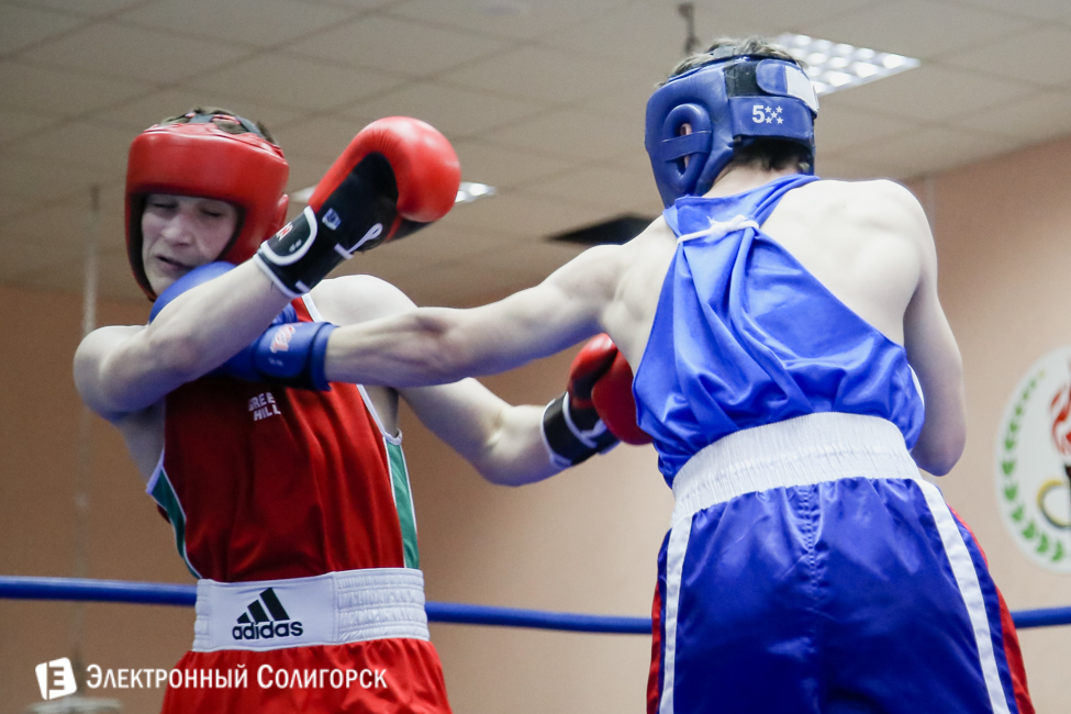 боксеры Солигорск