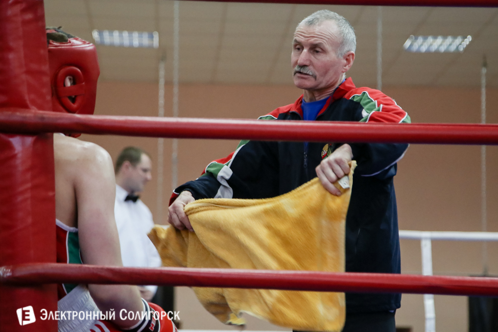 боксеры Солигорск