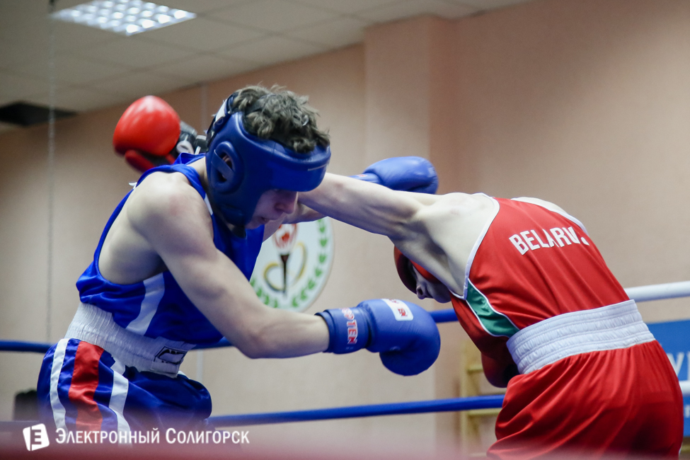 боксеры Солигорск