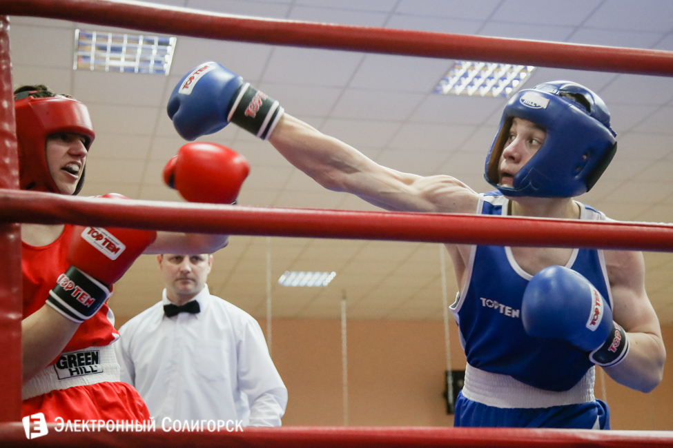 боксеры Солигорск