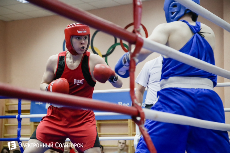 боксеры Солигорск