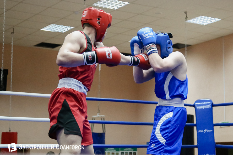 боксеры Солигорск