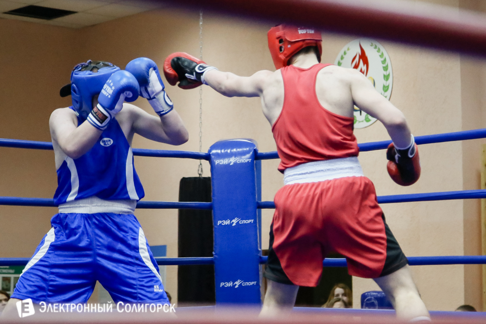 боксеры Солигорск