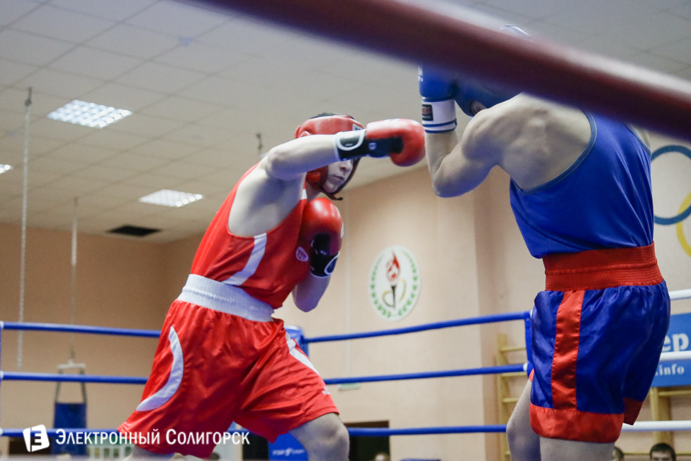 боксеры Солигорск