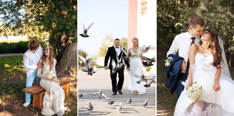 свадебный органзитор солигорск