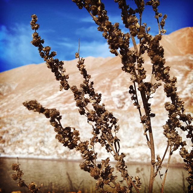 Солигорск солеотвал