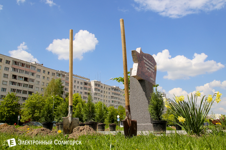 посадка дерьвьев солигорск