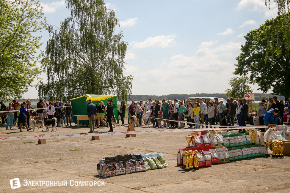 выставка собак в Солигорске