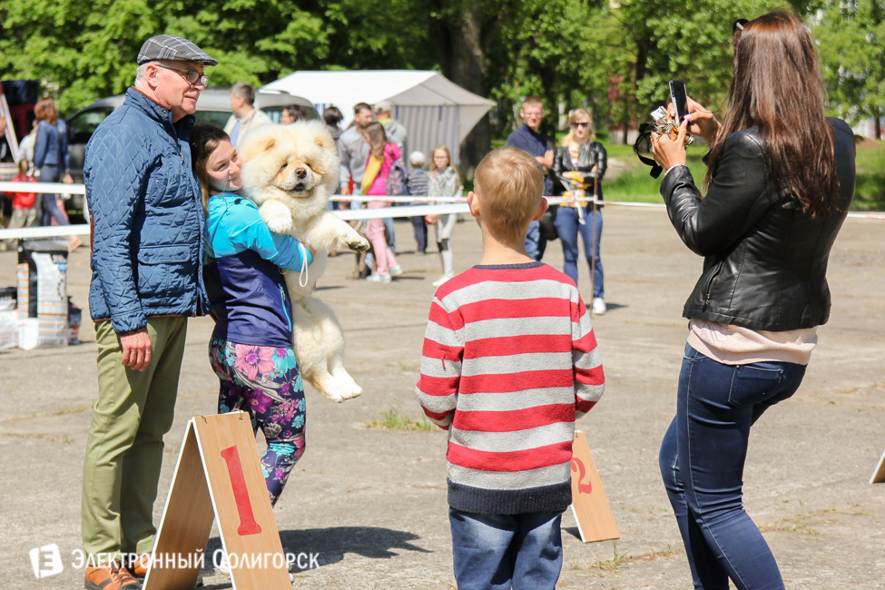 выставка собак в Солигорске